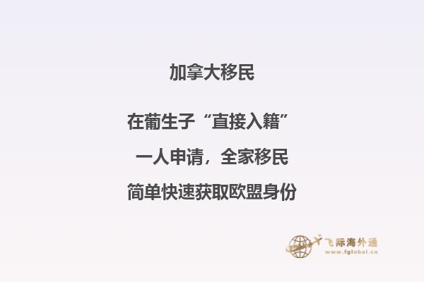 加拿大聯(lián)邦技術(shù)移民費(fèi)用！與投資移民相比，竟然這要這么點(diǎn)！