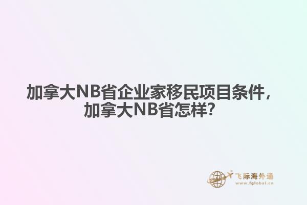 加拿大NB省企業(yè)家移民項(xiàng)目條件，加拿大NB省怎樣？