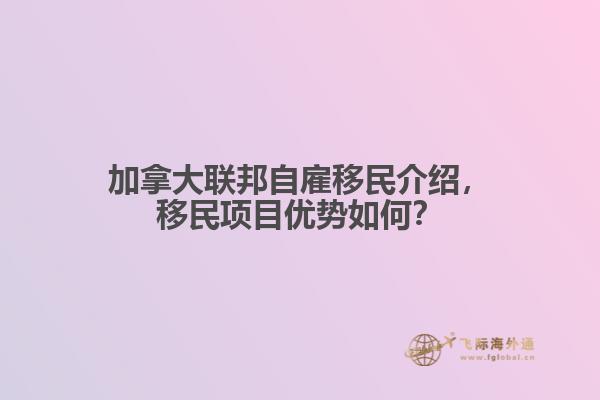 加拿大聯(lián)邦自雇移民介紹，移民項目優(yōu)勢如何？