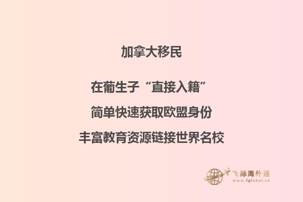 加拿大移民政策再傳利好，或新增“市提名”計(jì)劃！