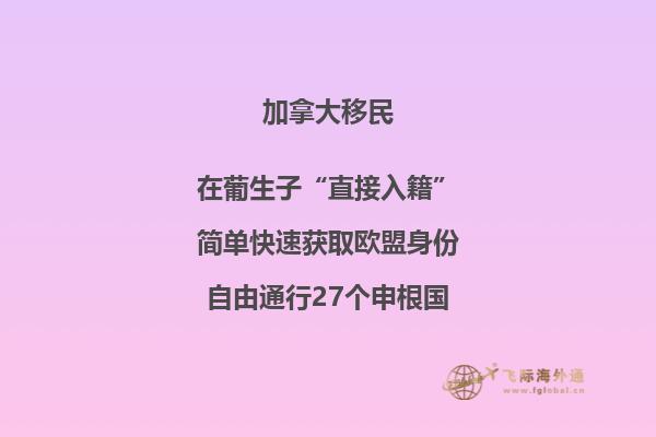 加拿大安省技術(shù)移民項(xiàng)目，哪種方式更適合你？