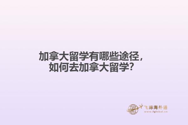 加拿大留學(xué)有哪些途徑，如何去加拿大留學(xué)？