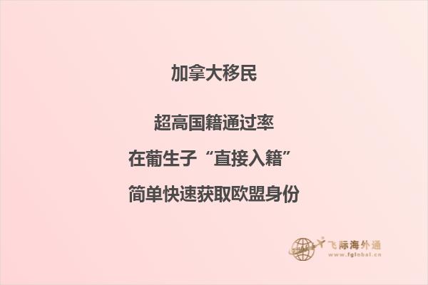 加拿大投資移民大盤(pán)點(diǎn)，你最中意哪個(gè)？