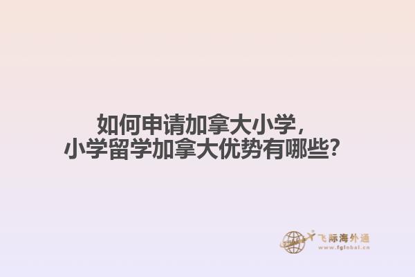 如何申請加拿大小學(xué)，小學(xué)留學(xué)加拿大優(yōu)勢有哪些？