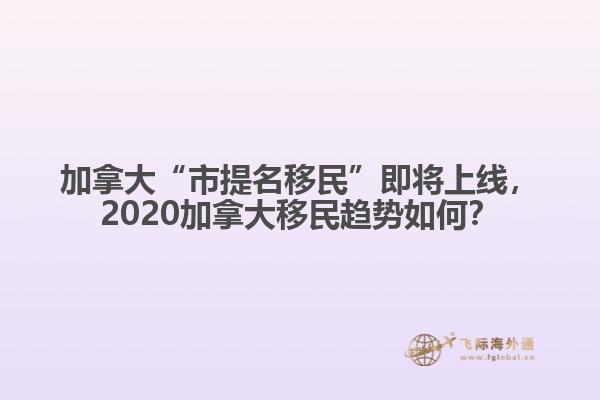 加拿大“市提名移民”即將上線，2020加拿大移民趨勢(shì)如何？
