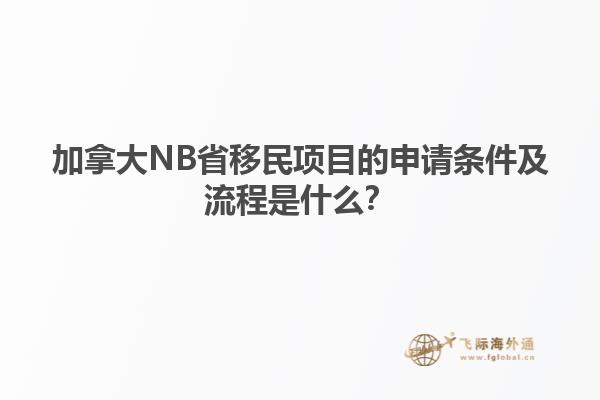 加拿大NB省移民項目的申請條件及流程是什么？