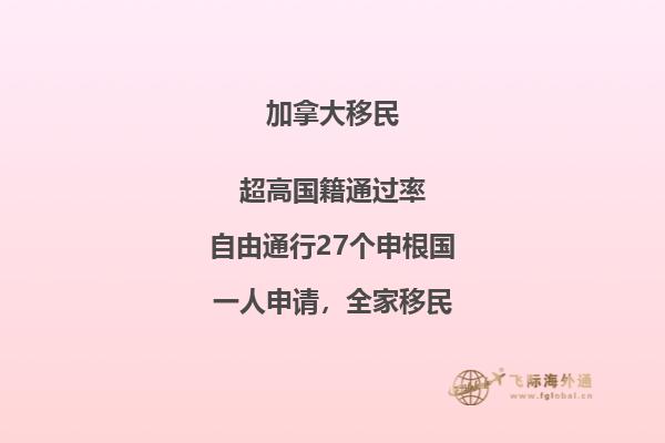 接到移民局背調(diào)電話怎么辦，如何輕松應(yīng)對(duì)移民局電話調(diào)查