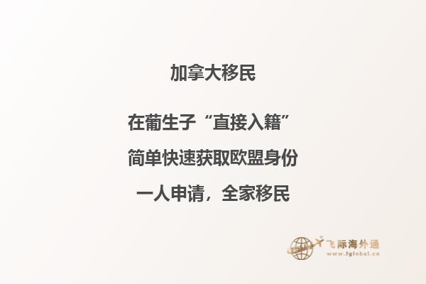 2022年加拿大NB省雇主擔(dān)保移民申請要求是什么？