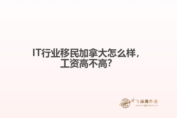 IT行業(yè)移民加拿大怎么樣，工資高不高？