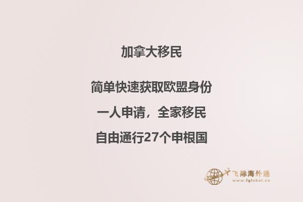 加拿大的世界前100名校有哪些