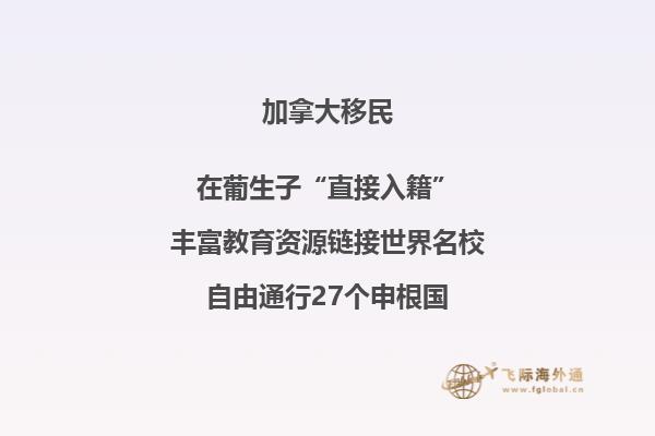 加拿大簽證網(wǎng)上申請(qǐng)表格需要手寫(xiě)簽字