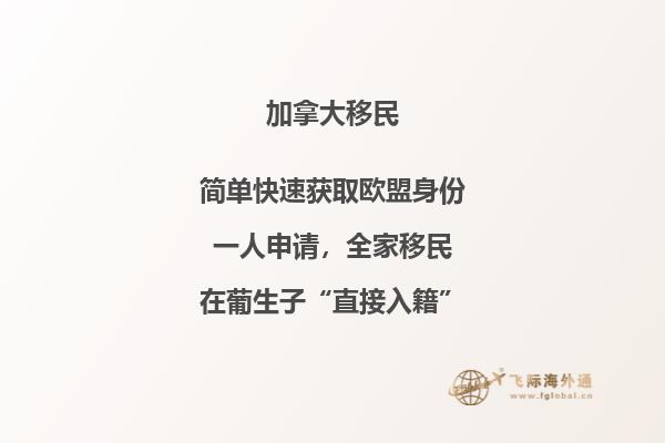 加拿大旅游簽證如何辦理流程視頻