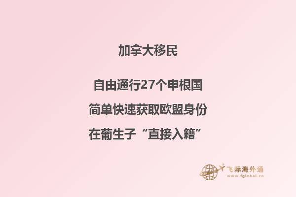 加拿大薩省阿玲個(gè)人主頁西瓜視頻