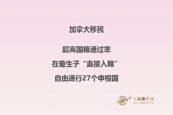 加拿大有哪些主流移民項(xiàng)目？