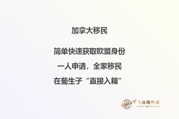 加拿大SUV移民條件，暢享加國自由與豪華！