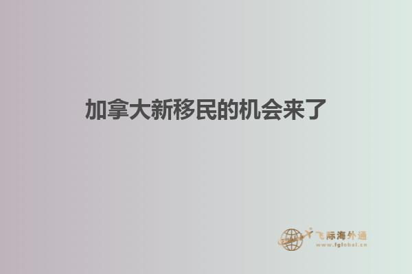 加拿大新移民的機(jī)會來了