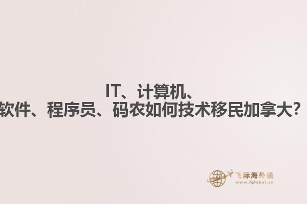 IT、計(jì)算機(jī)、軟件、程序員、碼農(nóng)如何技術(shù)移民加拿大？