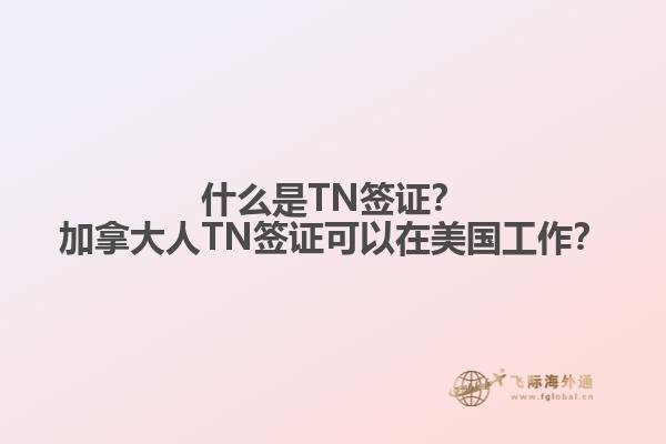 什么是TN簽證？加拿大人TN簽證可以在美國工作？
