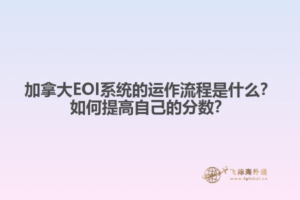 加拿大EOI系統(tǒng)的運作流程是什么？如何提高自己的分數(shù)？