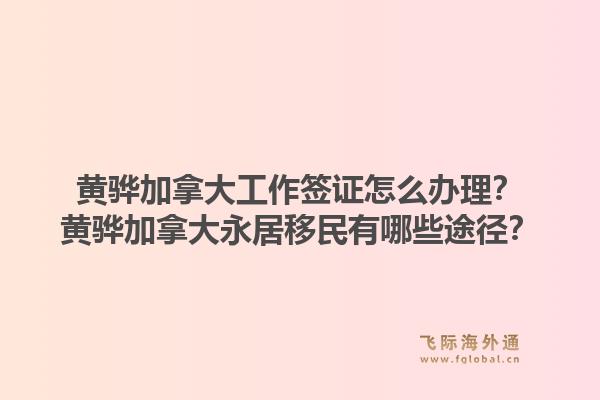 黃驊加拿大工作簽證怎么辦理？黃驊加拿大永居移民有哪些途徑？1.jpg