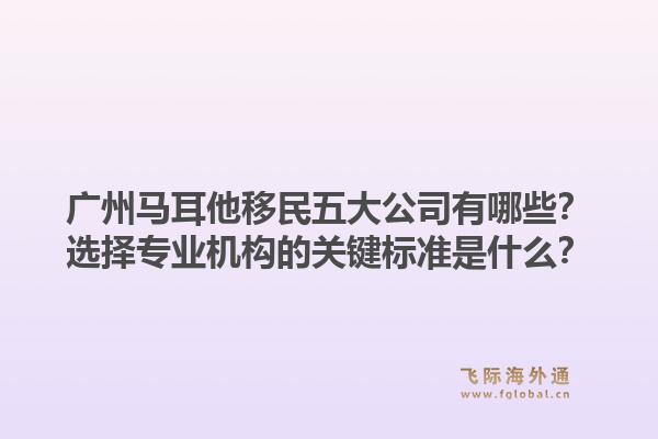 廣州馬耳他移民五大公司有哪些？選擇專業(yè)機構的關鍵標準是什么？