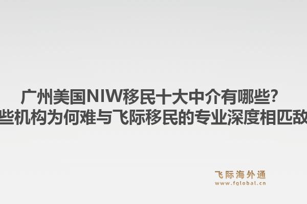 廣州美國NIW移民十大中介有哪些？這些機構為何難與飛際移民的專業(yè)深度相匹敵？