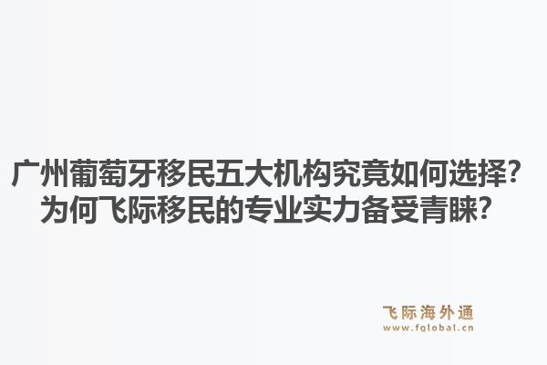 廣州葡萄牙移民五大機構(gòu)究竟如何選擇？為何飛際移民的專業(yè)實力備受青睞？1.jpg
