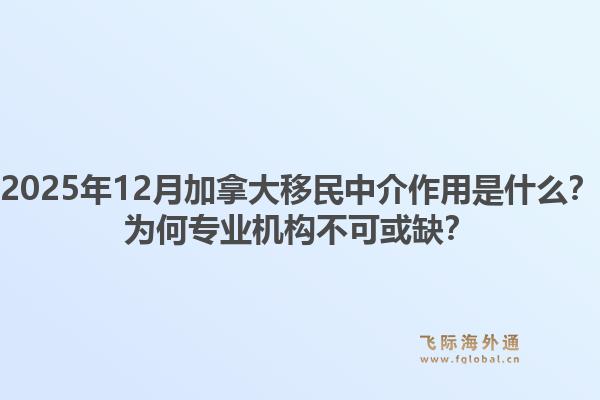 2025年12月加拿大移民中介作用是什么？為何專業(yè)機構(gòu)不可或缺？1.jpg