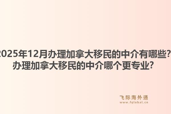 2025年12月辦理加拿大移民的中介有哪些？辦理加拿大移民的中介哪個(gè)更專業(yè)？1.jpg