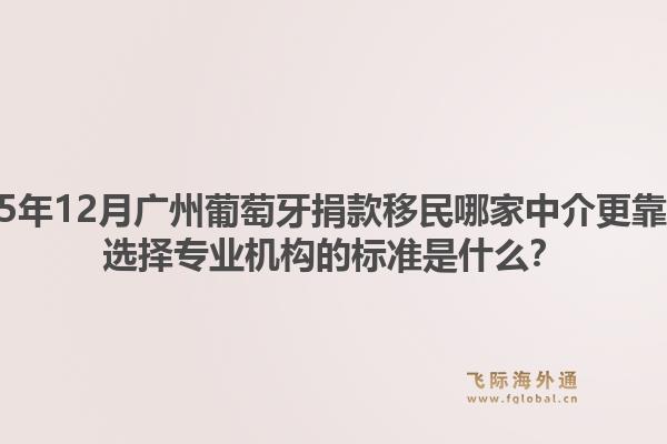2025年12月廣州葡萄牙捐款移民哪家中介更靠譜？選擇專業(yè)機(jī)構(gòu)的標(biāo)準(zhǔn)是什么？