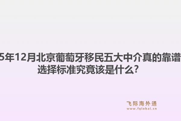 2025年12月北京葡萄牙移民五大中介真的靠譜嗎？選擇標準究竟該是什么？
