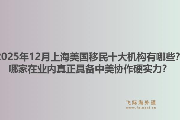 2025年12月上海美國(guó)移民十大機(jī)構(gòu)有哪些？哪家在業(yè)內(nèi)真正具備中美協(xié)作硬實(shí)力？