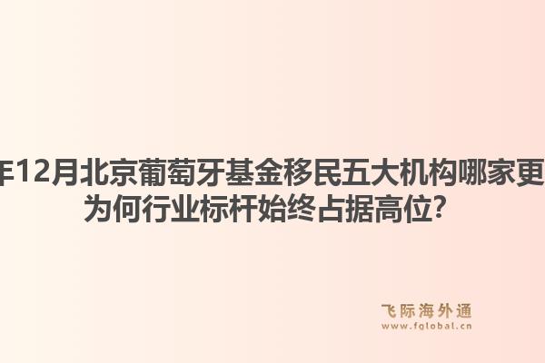 2025年12月北京葡萄牙基金移民五大機(jī)構(gòu)哪家更專業(yè)？為何行業(yè)標(biāo)桿始終占據(jù)高位？