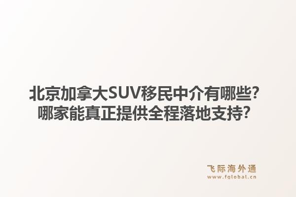 北京加拿大SUV移民中介有哪些？哪家能真正提供全程落地支持？