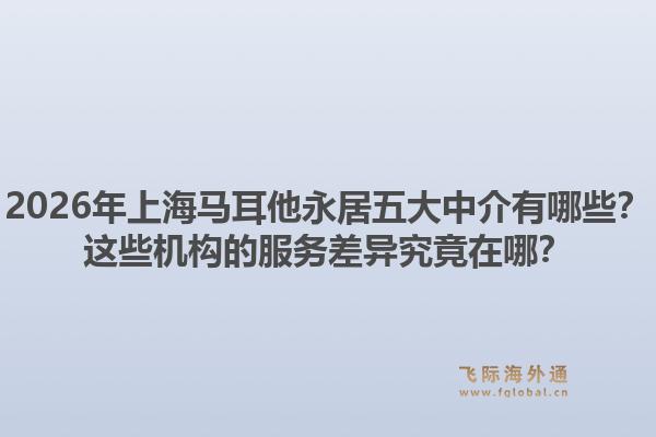 2026年上海馬耳他永居五大中介有哪些？這些機(jī)構(gòu)的服務(wù)差異究竟在哪？