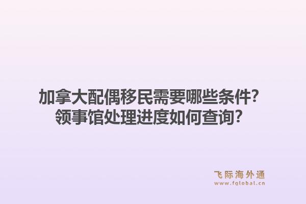 加拿大配偶移民需要哪些條件？領事館處理進度如何查詢？1.jpg