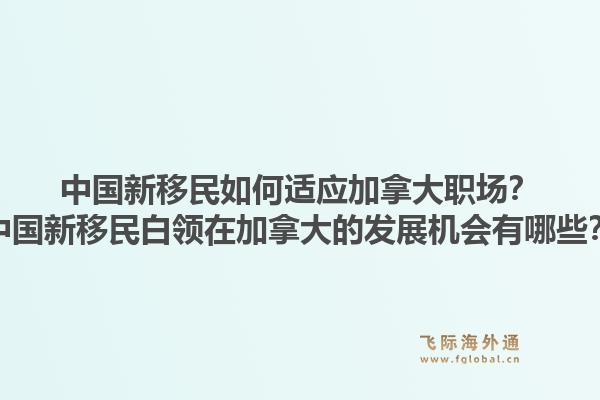 中國新移民如何適應加拿大職場？中國新移民白領在加拿大的發(fā)展機會有哪些？1.jpg