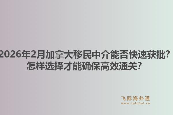 2026年2月加拿大移民中介能否快速獲批？怎樣選擇才能確保高效通關？
