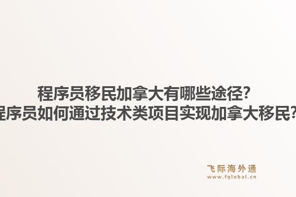 程序員移民加拿大有哪些途徑？程序員如何通過技術(shù)類項目實現(xiàn)加拿大移民？1.jpg
